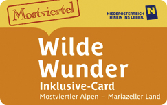 wildewunder-cardRZ.indd