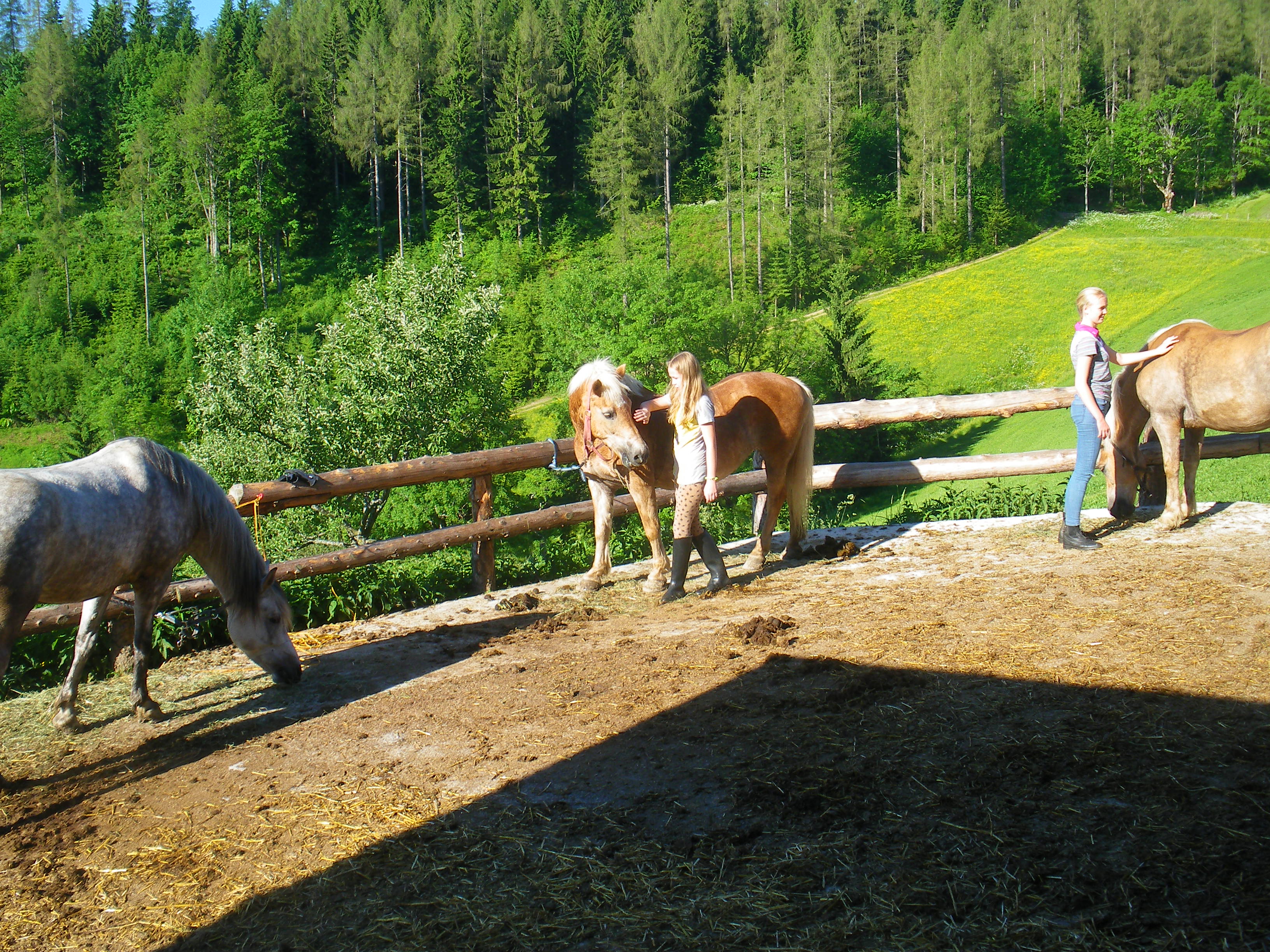 Arigona, Gritta und Sandor